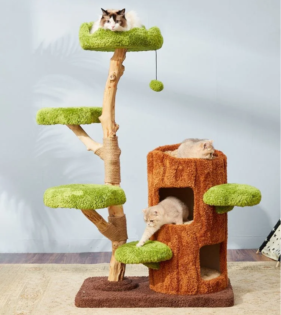 Woody The Treehouse For Cats